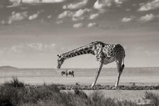 Thirsty