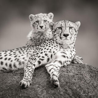 Mother and Son