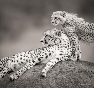 I am with you Mom