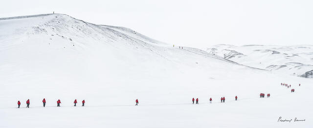 The Explorers