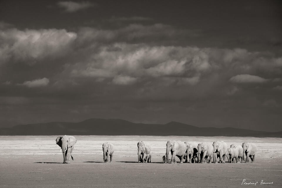 Family on Dry Lake