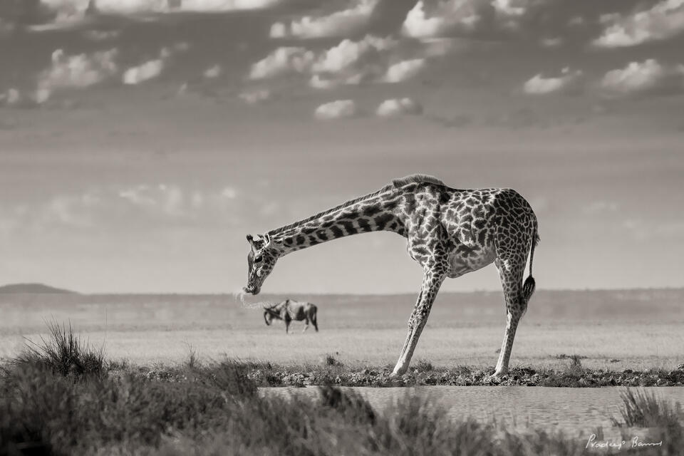 Thirsty