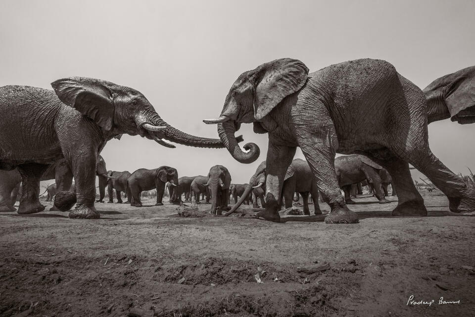 The Battle for Water