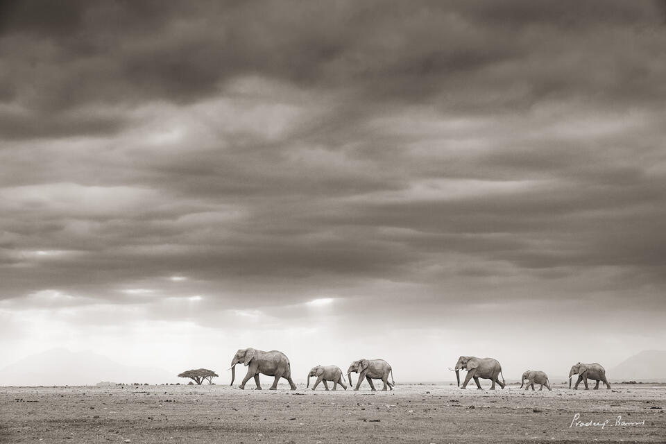 On The Horizon